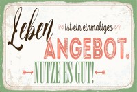 Blechschild 12X18 Cm Leben Ist Ein Einmaliges Angebot Nutze Es Gut Deko Geschenk