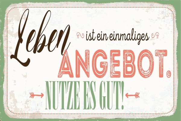 Blechschild 12X18 Cm Leben Ist Ein Einmaliges Angebot Nutze Es Gut Deko Geschenk-image