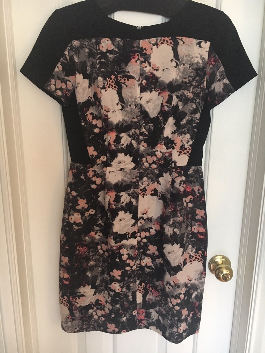 club monaco willa dress Club Monaco Willa Dress in Brooklyn Botanical Garden Floral Print