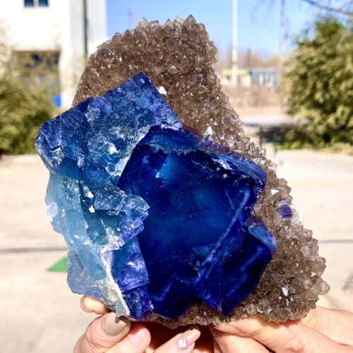 Mineral fluorita cúbica azul transparente natural de Mongolia Interior 2,92 lb - Imagen 10 de 22