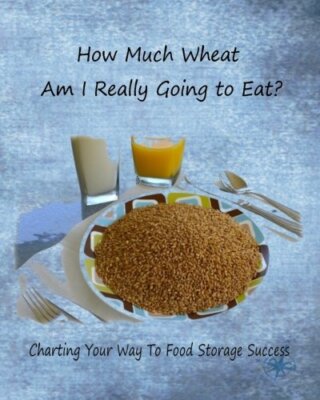 How Much Wheat Am I Really Going to Eat?: Charting Your Way to Food Storage S-,