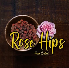 Rose Hips Dried Rosa Canina 100% Prue Rose Hip Herbalism Grade 1oz USA