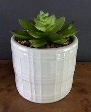 FAUX SUCCULENT/ CACTUS PLANT