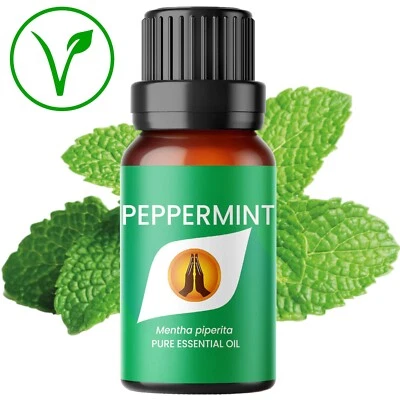 AROMA ENERGY Pure Peppermint Essential Oil - Mouse Mice Rat Fly Bug Insect Spider Repellent