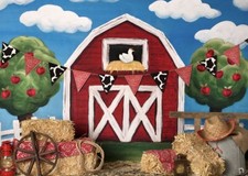 Baby Dream backdrop 80x60 Old Mac Barn Simple photography