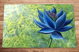 Mtg 30th Anniversary Playmat | eBay