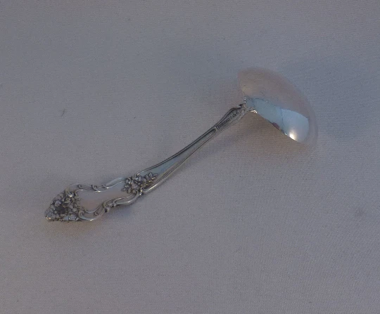 Cucharón Meadow Rose de Watson Sterling Gravy-6 1/8" Foto 2 de 4