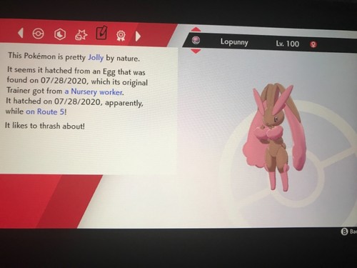 Pokemon Sword And Shield Shiny Lopunny 6IV Battle Ready Fast Delivery - Picture 4 of 6