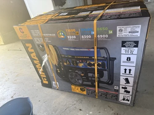 Firman 9300 Generator Gas
