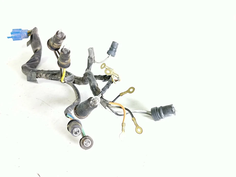 Arnés de cableado cola Aquila 07 Hyosung GV 250 Foto 2 de 4