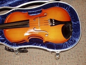 GLAESEL VA20 VIOLA....15 1/2" OUTFIT