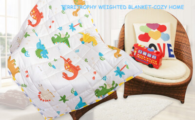 TerriTrophy Kids Dinosaur Weighted Blanket 7lbs 41 x 60in