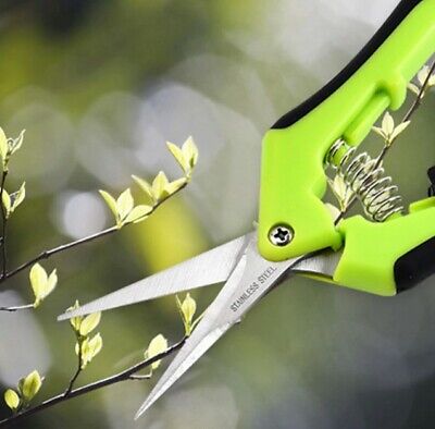 Garden Pruning Shears Picking Scissors Potted Trim Branches Scissors Weed O4M8 Garden Pruning Shears Picking Scissors Potted Trim Branches Scissors Weed O4M8