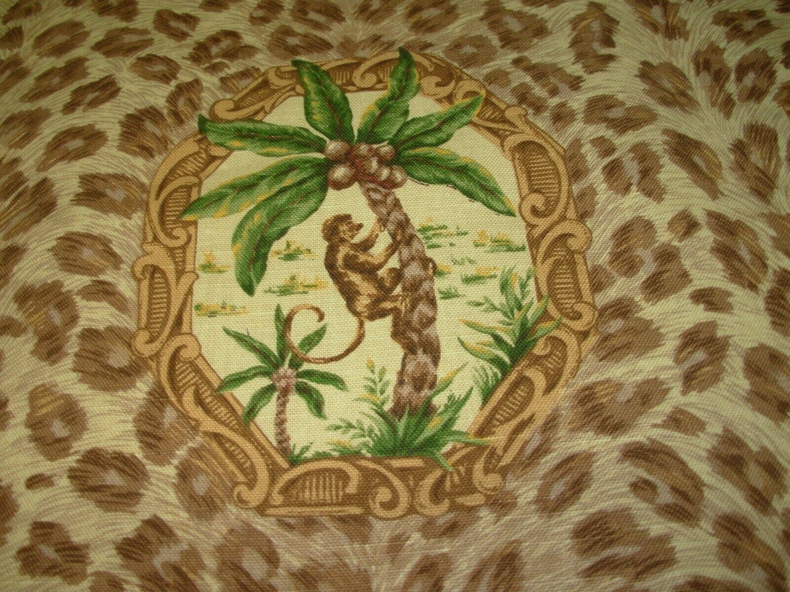 Picture 5 of 5