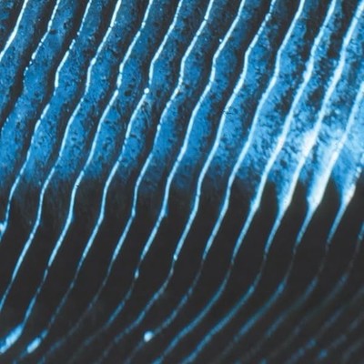 MONOLAKE GRAVITY (2LP) LP New