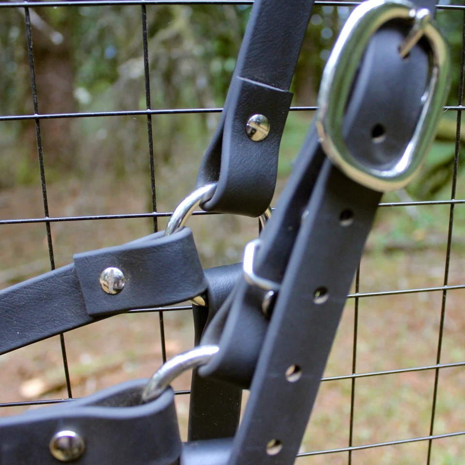 Halter de caballo de tiro Biothane con banda nasal de rosas arco iris Foto 4 de 4
