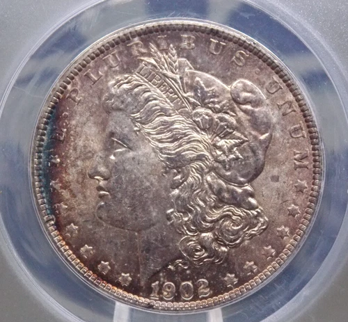 1902 "P" Morgan SILVER Dollar $1 ANACS MS62 #580 Unc Uncirculated ECC&C, Inc.