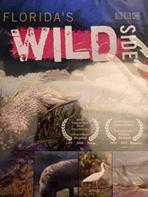 Floridas Wild Side a BBC film by Tom Fitz Wide Screen BBC - DVD - VERY GOOD
