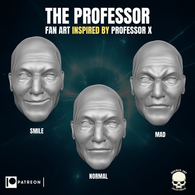 Professor X 1:12 scale heads, resin 3d printed 6'' action figure custom hea