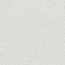 Mercedes Neva Gray Leather Dye