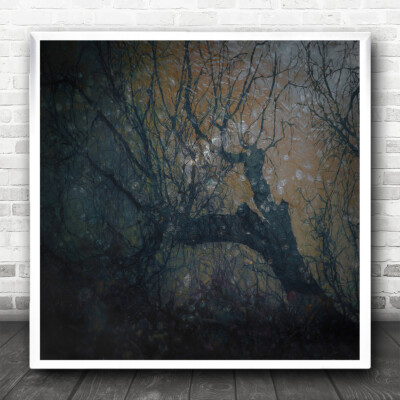 Bokeh Woodlands Wald düster kunstvoll friedlich quadratischer Wandkunstdruck