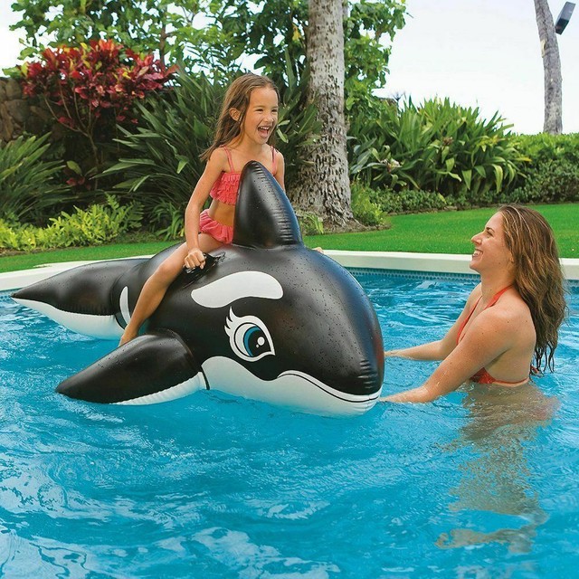 inflatable whale ride
