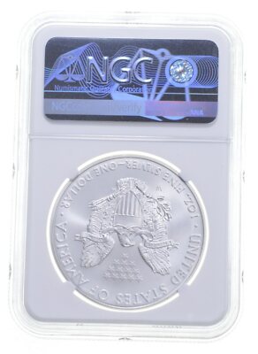 2008-W BURNISHED SILVER EAGLE MS70 NGC CLASSIC BROWN LABEL | eBay