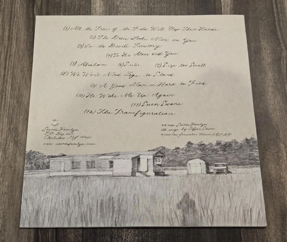 Sufjan Stevens Seven Swans *Red Swirl* Vinyl LP + BONUS GREEN 7" RARE OOP Foto 2 de 3