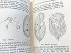 Picture 17 of 23