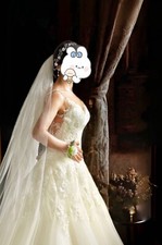 White Pronovias Wedding Dress with veil MSRP 3539 Size 6 street 0/XS , 450