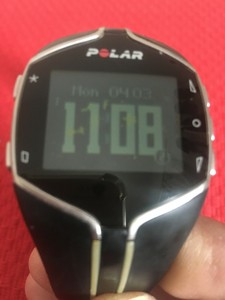 polar ft80 price