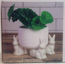 Target Bullseye Easter Bunny 2.5" Plant Figural Pot Holder NIB (SET OF 3)