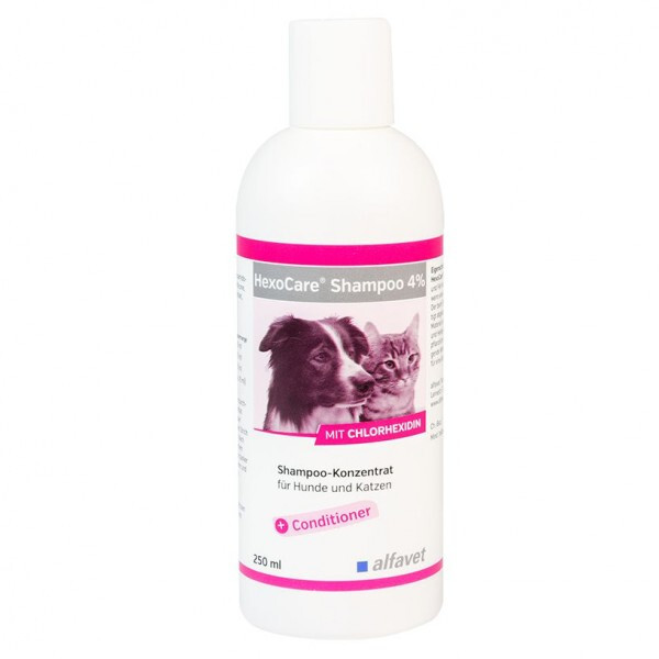 Hexocare Shampoo 4 % Alfavet – Konzentrat FüR Haut & Fell Von Hunden & Katzen-image