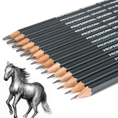 Drawing Sketching Pencil Set - 14 Pieces, Graphite (12B - 6H)