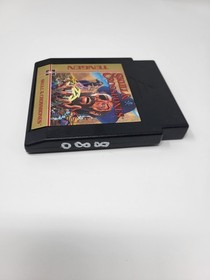 Skull and Crossbones - NES Nintendo - Tested/Working