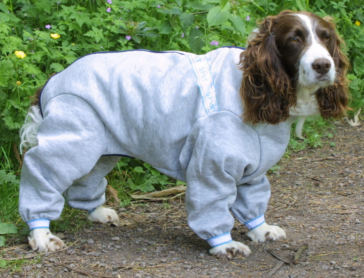 JOGGING SUIT FUN ALL IN ONE DOG COAT / PYJAMAS MADE IN THE UK eBay
