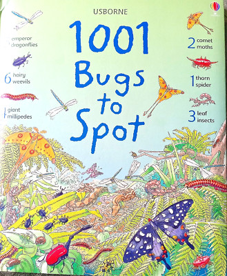 1001 Bugs to Spot by Emma Helbrough: New
