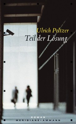 Ulrich Peltzer | Teil der Lösung | Buch | Deutsch (2007) | Roman, Meridiane 113