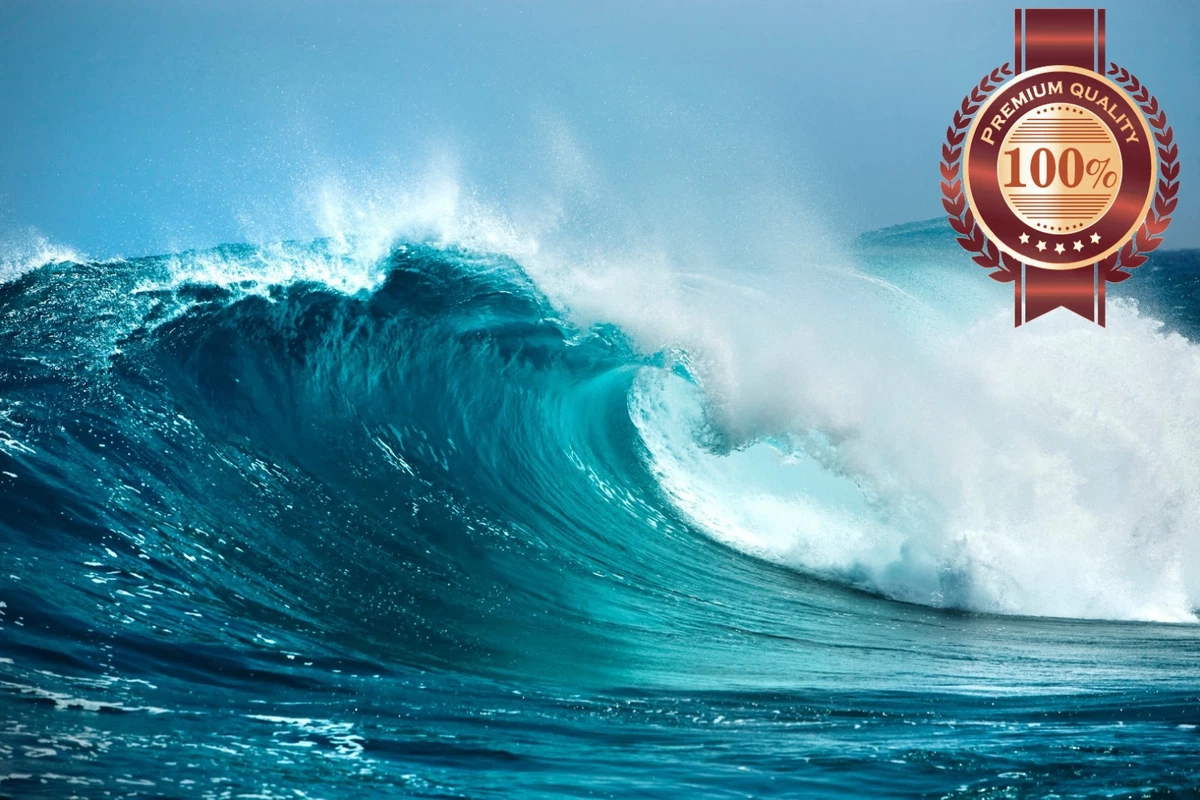 Ebay surf deals