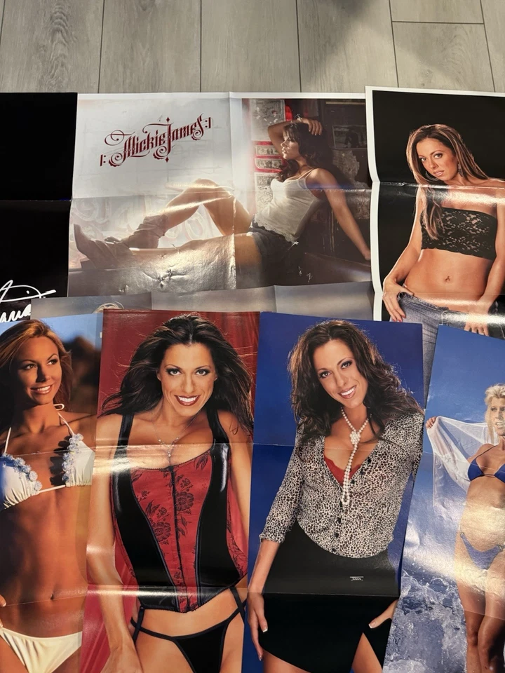 Lote de 10 pósters de WWE Divas de revistas WWF Trish Stratus Stacy Keibler Maria Foto 3 de 4