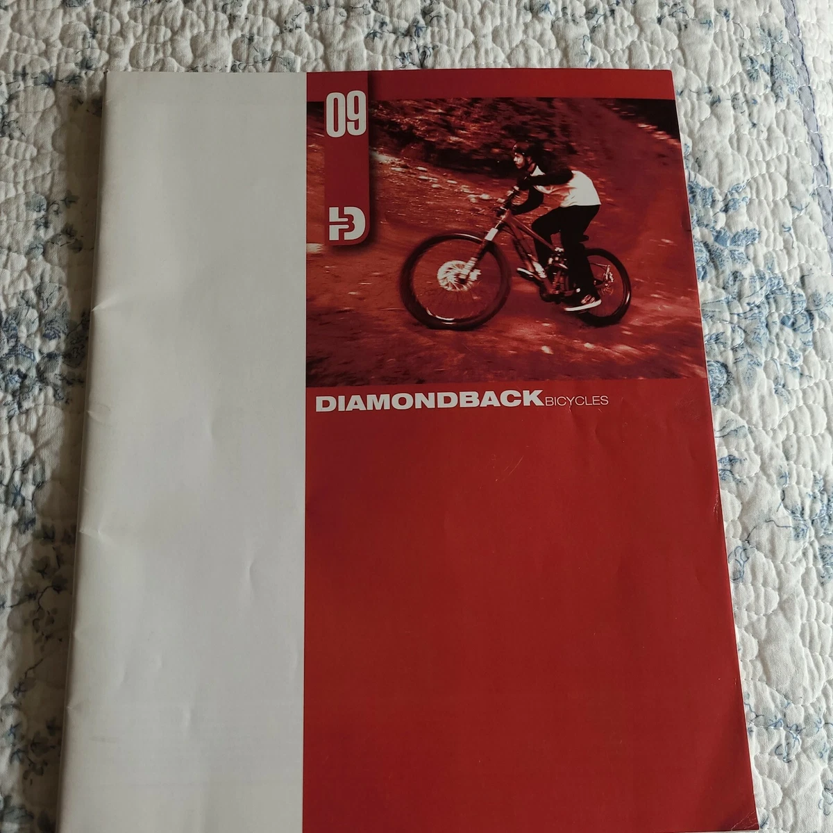 2009 Diamondback Bicycles Catalog Scapegoat Sortie Wildwood