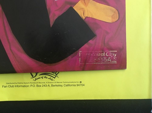 Greg Kihn- Glass House Rock- gold-stamp promotional copy- Beserkley Records-1980 - Picture 5 of 5