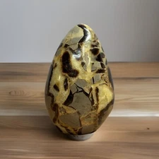 Polished Septarian Freeform - 2 Lbs - Dragon Stone - #1