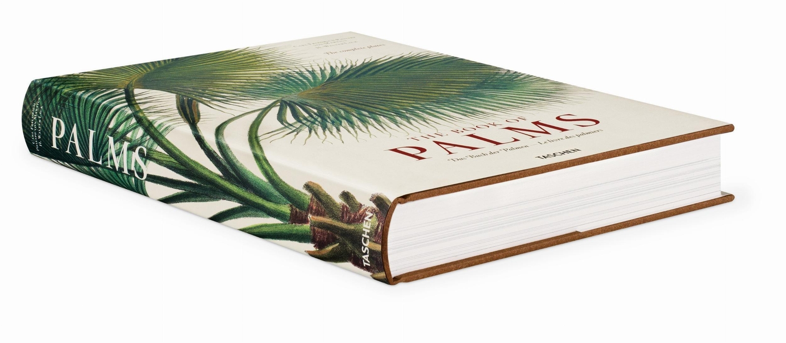 Thumbnail - Martius. The Book Of Palms | Lack, H. Walter