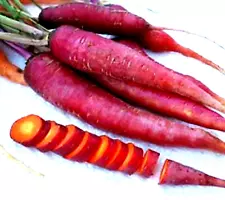 Purple Dragon Carrot Seeds Non-GMO 200+ Seeds NON-GMO BUY 4 GET FREE  SHIPPING