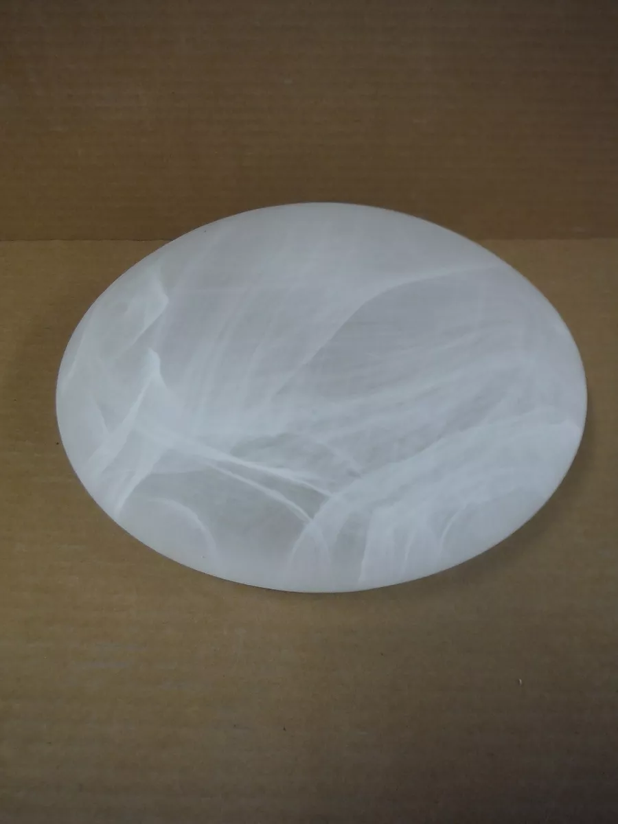 Progress Lighting Replacement Glass Shade Frosted 05072 For P3869