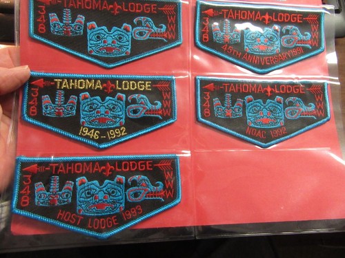 Tahoma 348 Lodge Flap and Decal Collection - Picture 4 of 4
