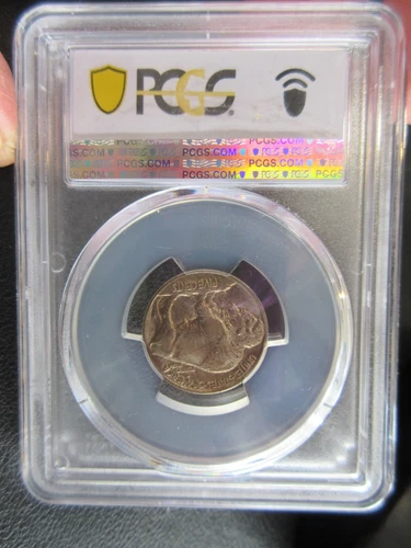 1913 Type 1 Buffalo Nickel 5c PCGS MS64 #3915.64/52031530