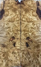 Knife Scales Barky Golden Camphor Wood Burl Bookmatch Handles 5.1"x3.2"x0.38"