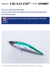 New Color Shimano Ocea Head Dip Flash Boost 175F Pencil Floating 97g 2021 June